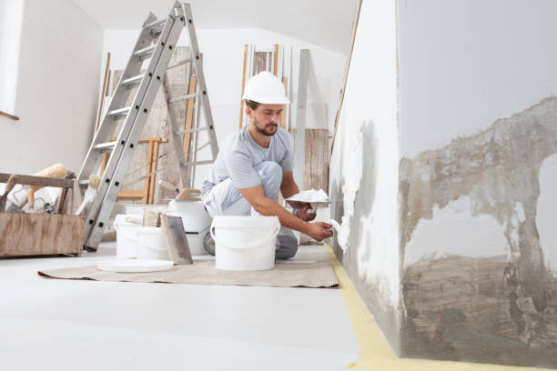 Professional Mold Removal in Worthington Hills, KY