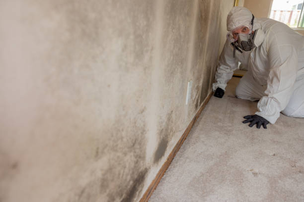 Best Mold Documentation for Insurance Claims  in Worthington Hills, KY