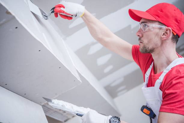 Mold Odor Removal Services in Worthington Hills, KY
